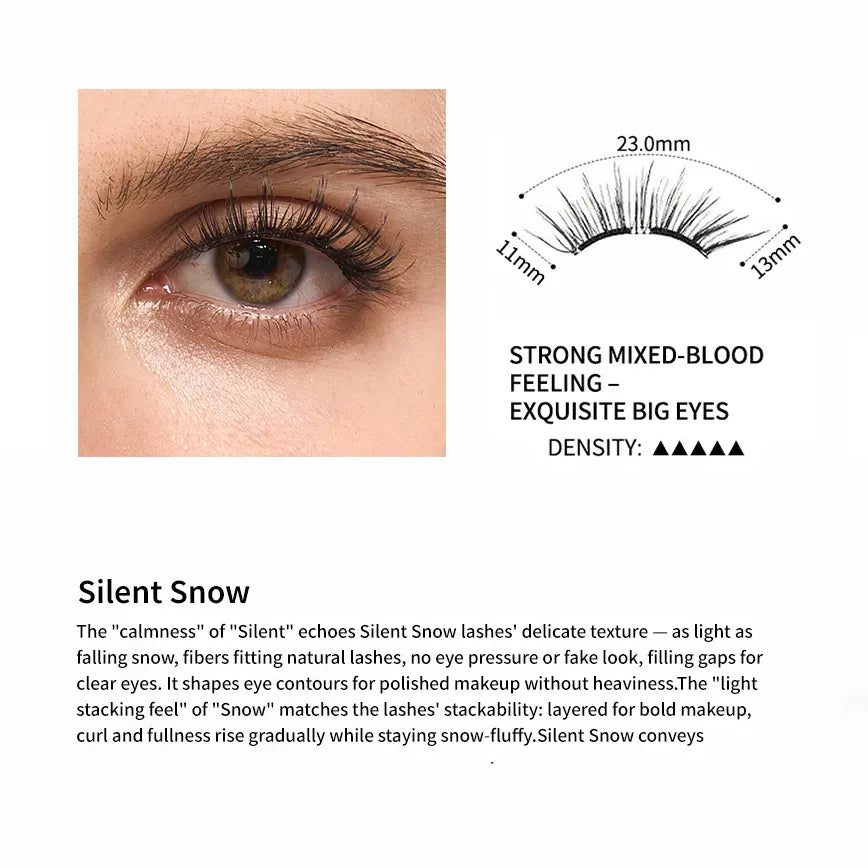 Silent-Snow-introduction