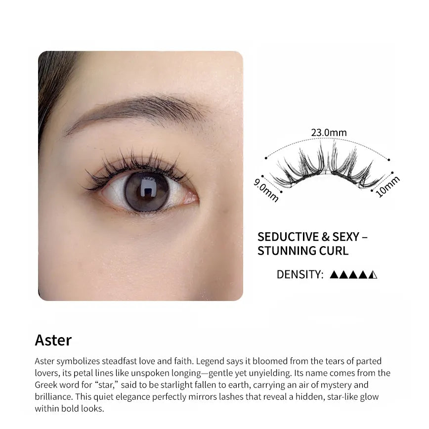 aster-introduce