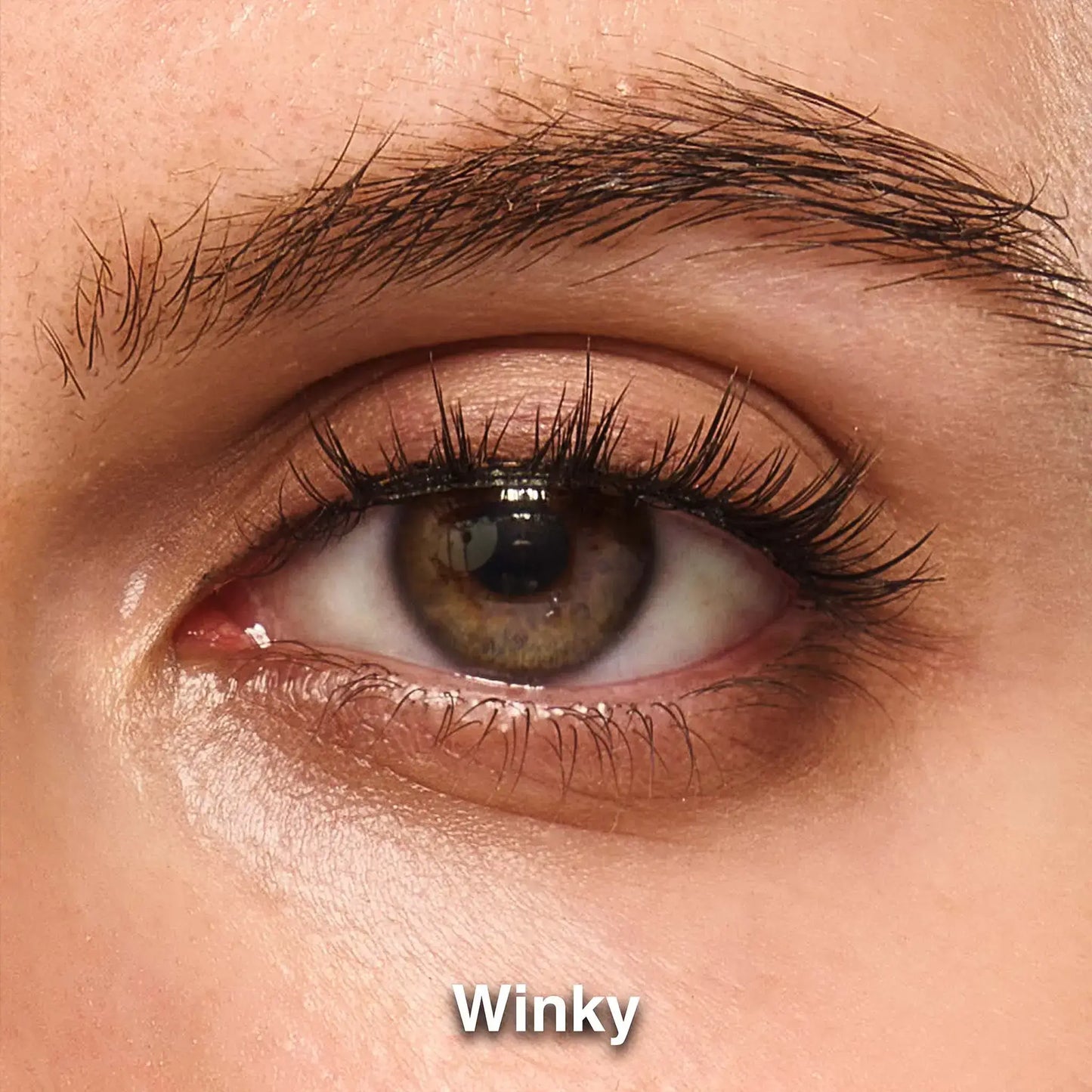 4Winky-1eye