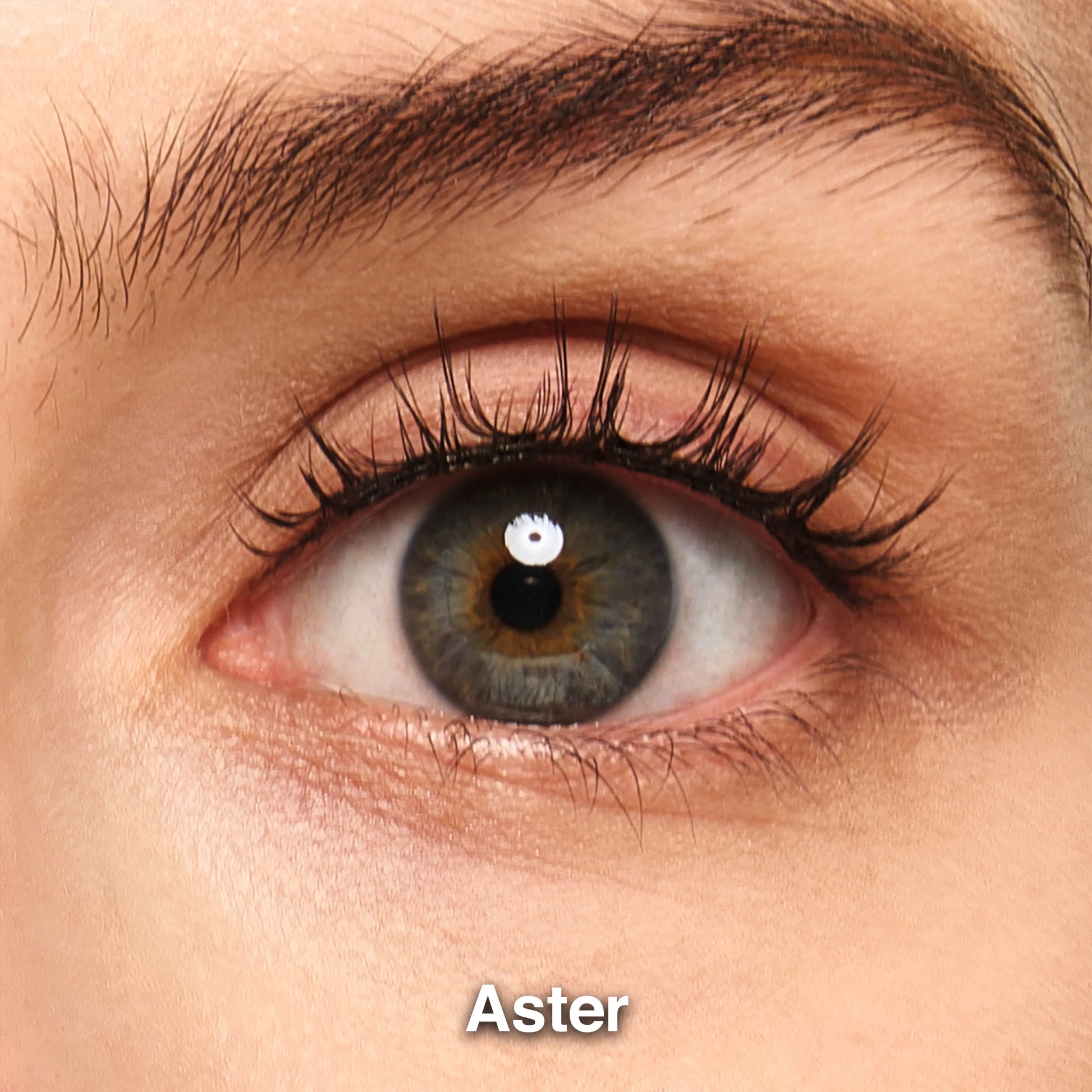 Aster-1eye