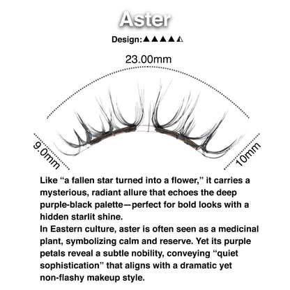 Aster-6introduction