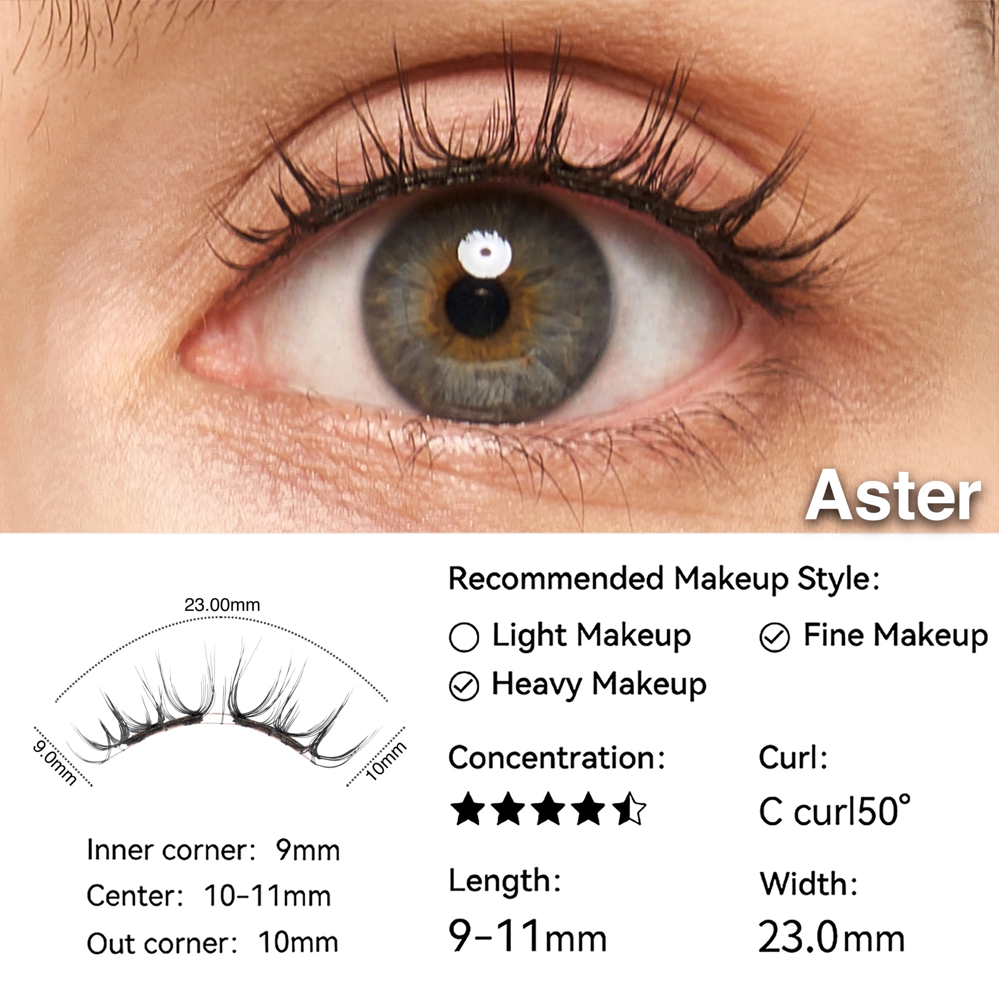 Aster-7Size