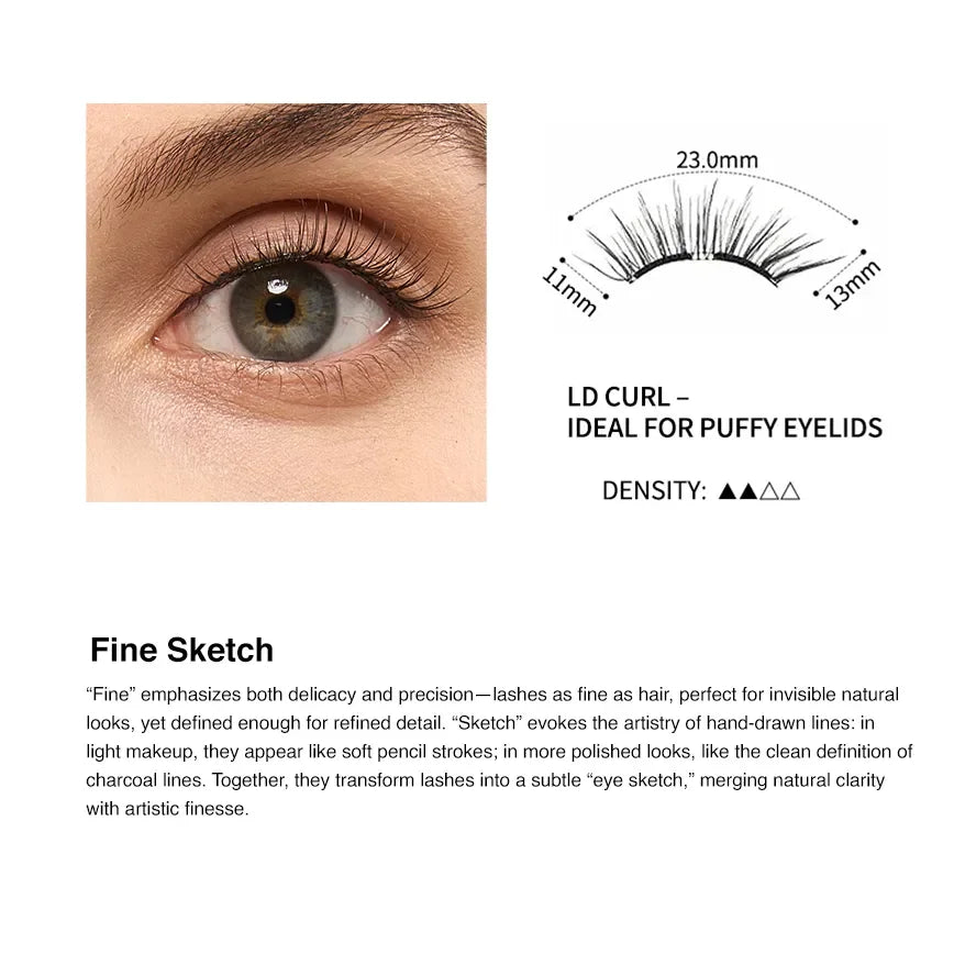 Fine-Sketch-introduction