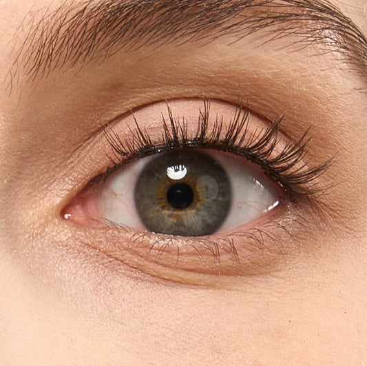 Maple-Sugar-eye