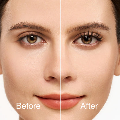 Silent_Snow-2comparison