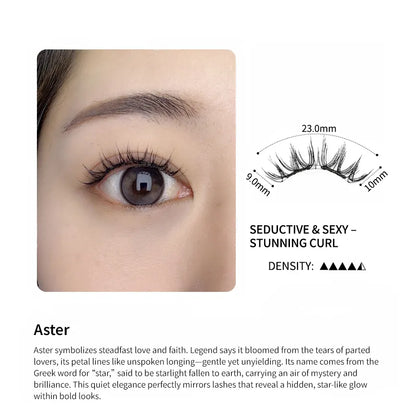 aster-introduce