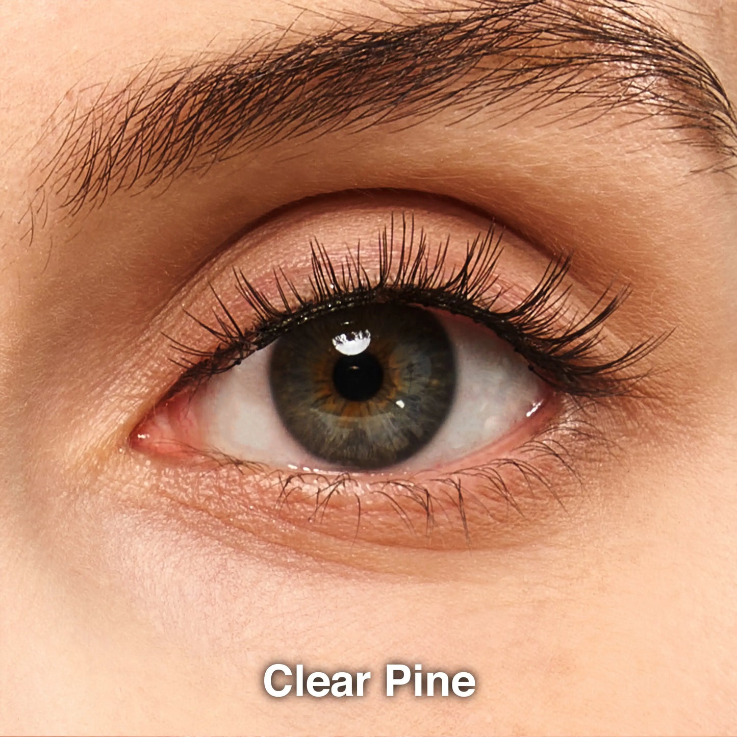 t-Clear_Pine-1eye