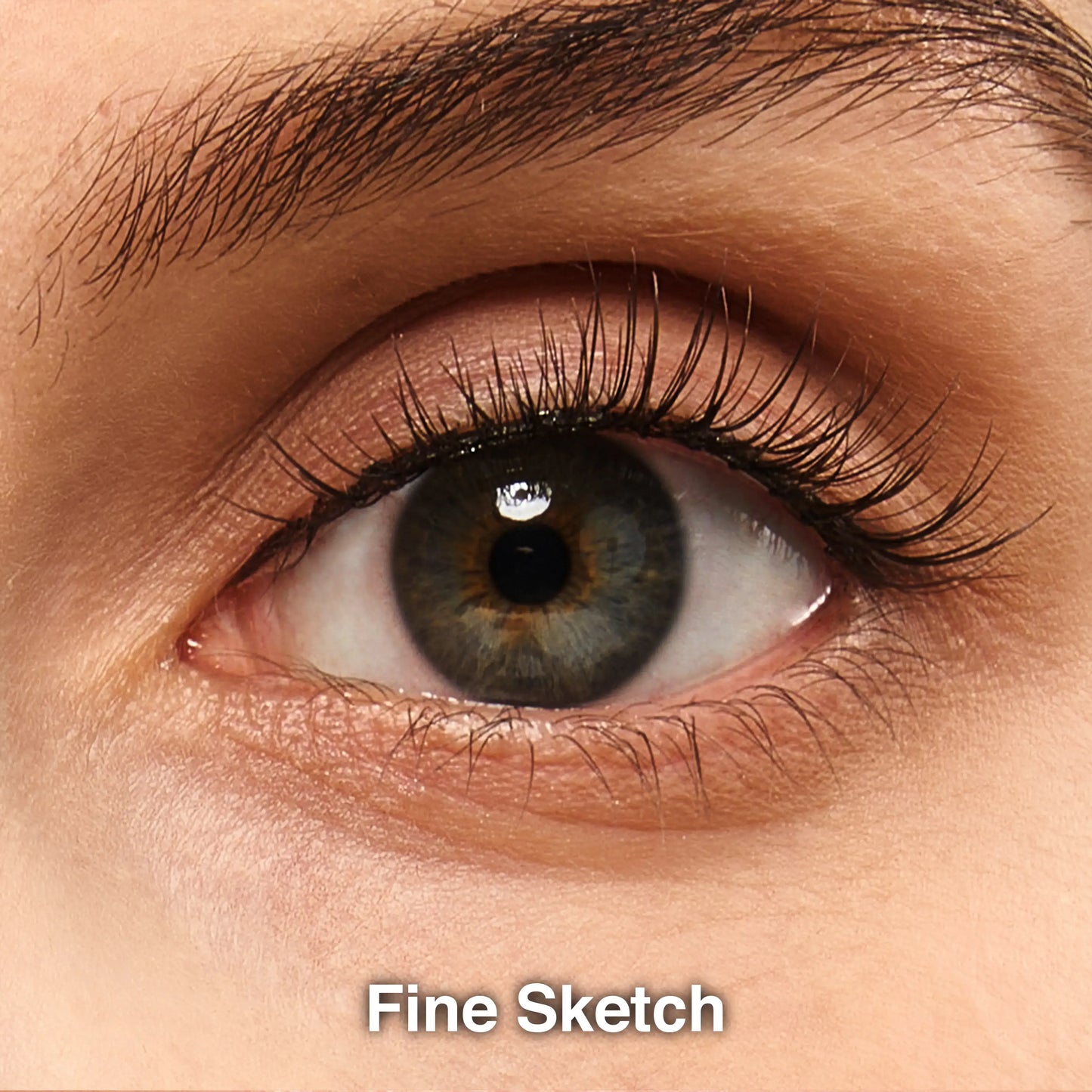 t-Fine_Sketch-1eye