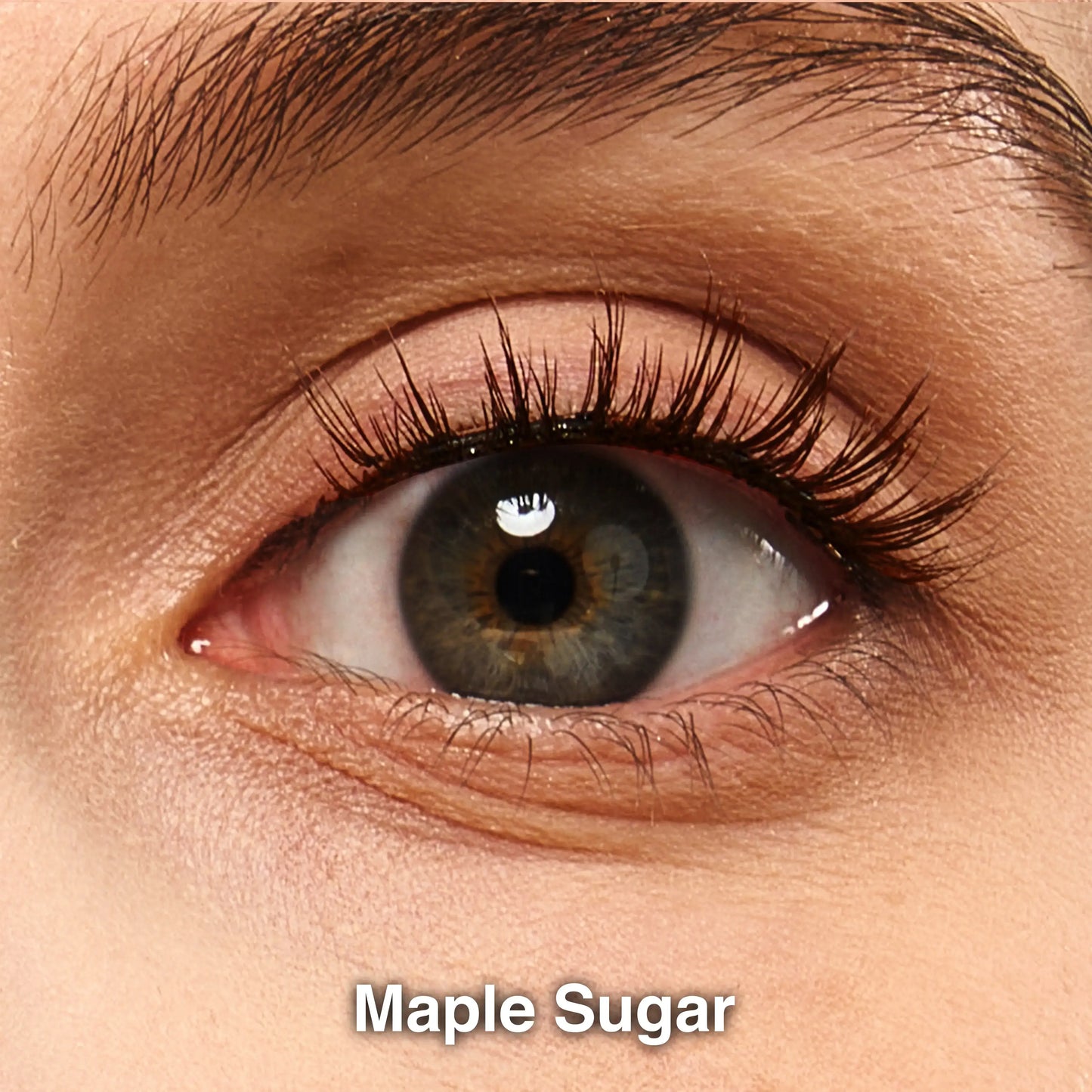 t-Maple_Sugar-1eye