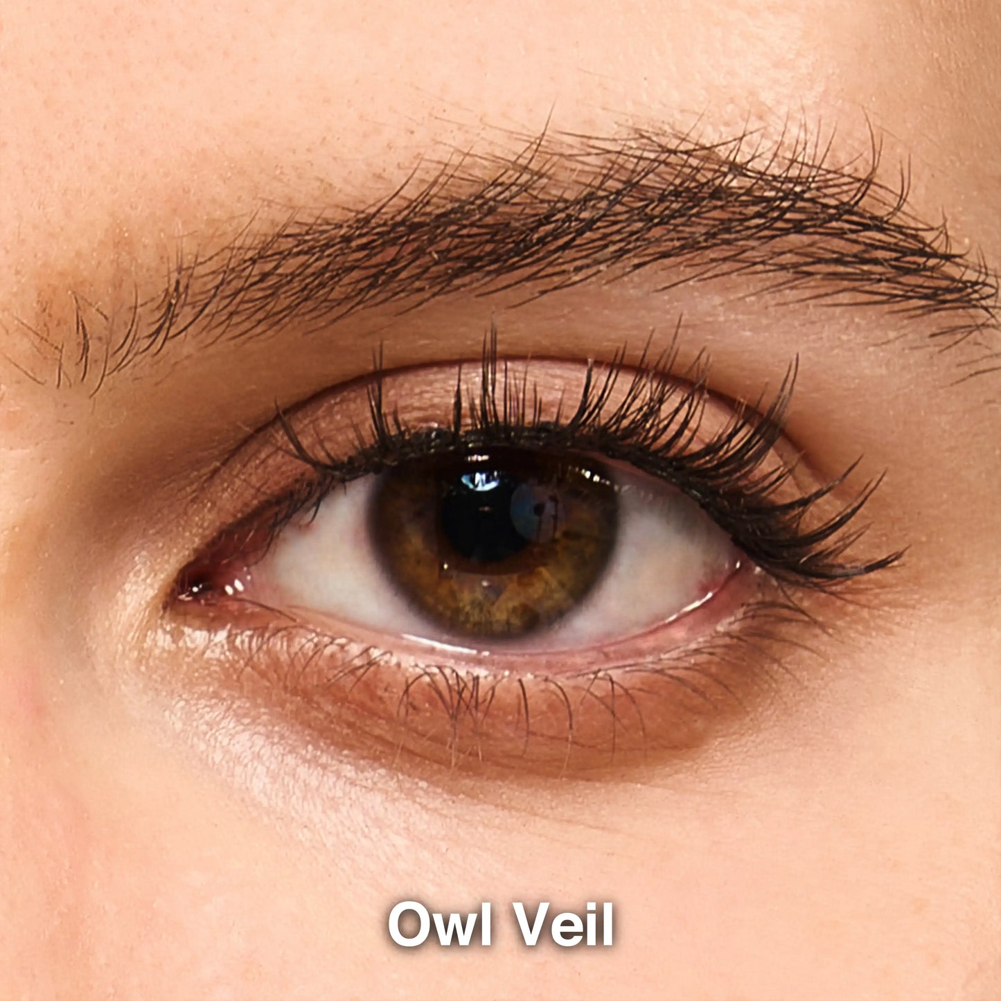 t-Owl_Veil-1eye